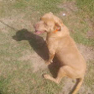 Meet your Posher, Gary